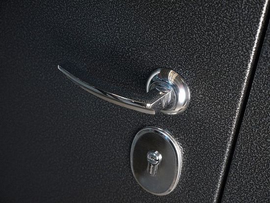 Входная дверь  